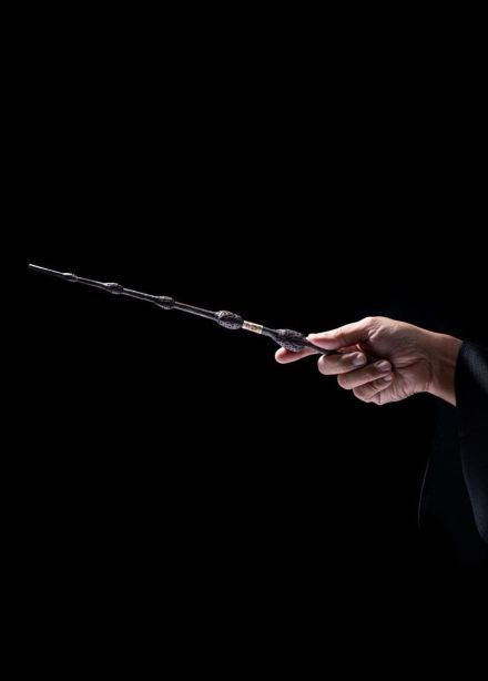 Оркестр «Sonorus». Гарри Поттер