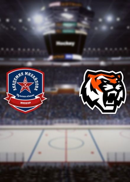 Хоккей. ХК «АКМ-Юниор» — ХК «Амурские Тигры»