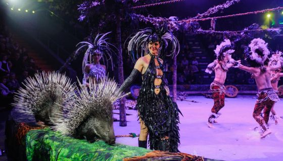 Цирк «Жар-птица»