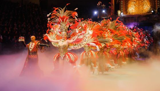 Цирк «Жар-птица»