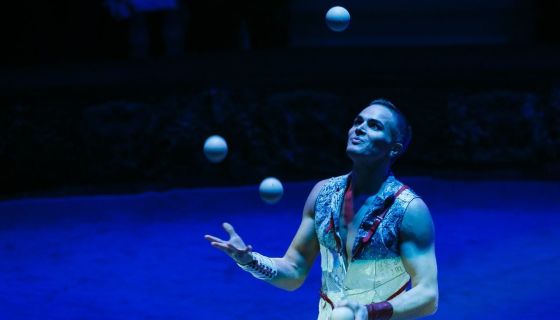 Цирк «Жар-птица»