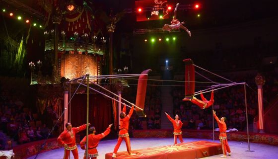 Цирк «Жар-птица»