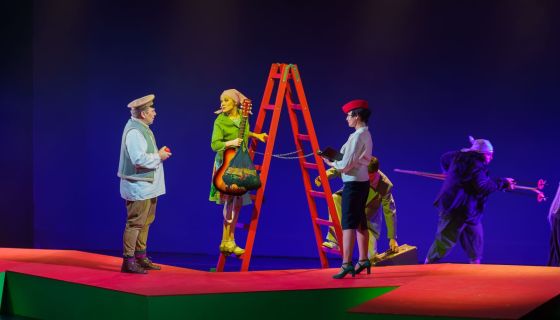 Мюзикл «Карнавальная ночь»