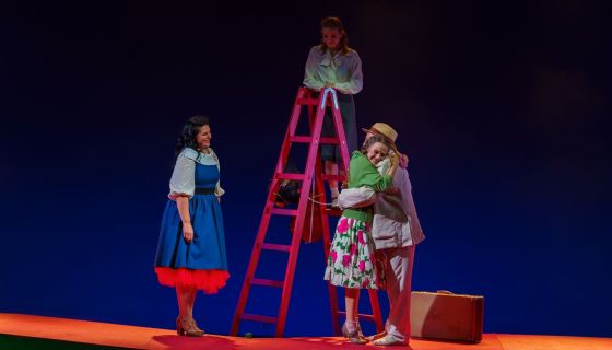 Мюзикл «Карнавальная ночь»