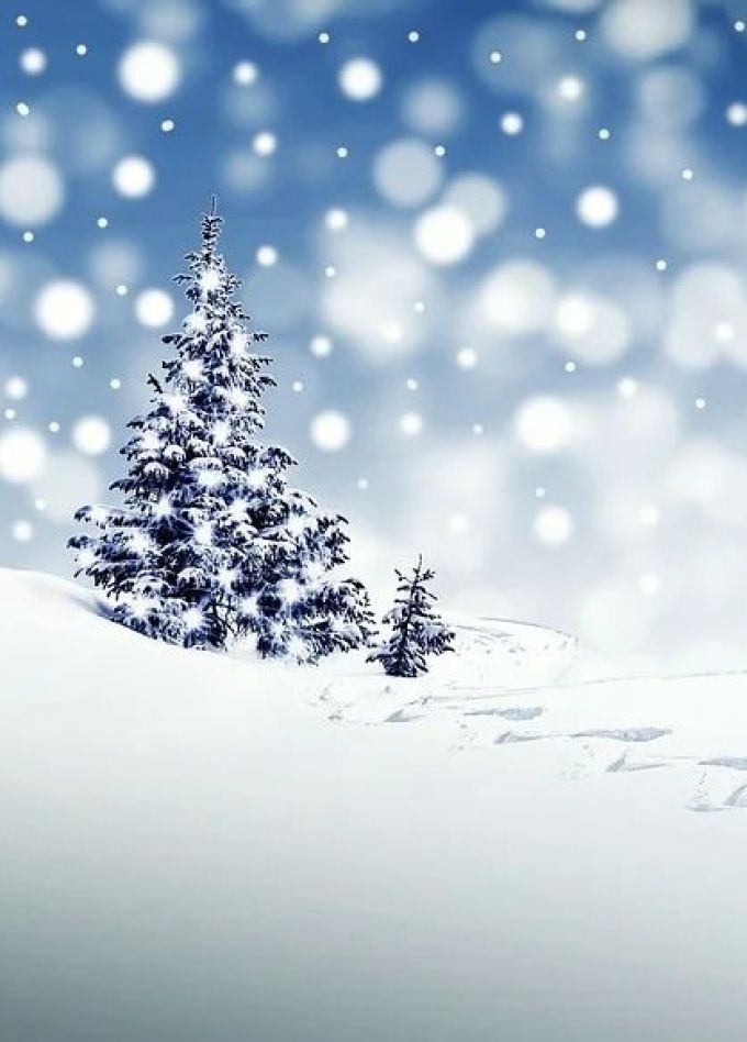 Спектакль «Тайна пропавшего снега»