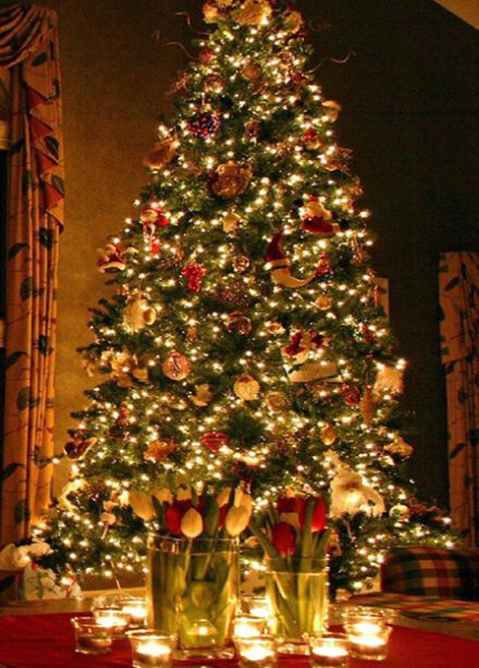 Морозный день. Мультимедийная викторина