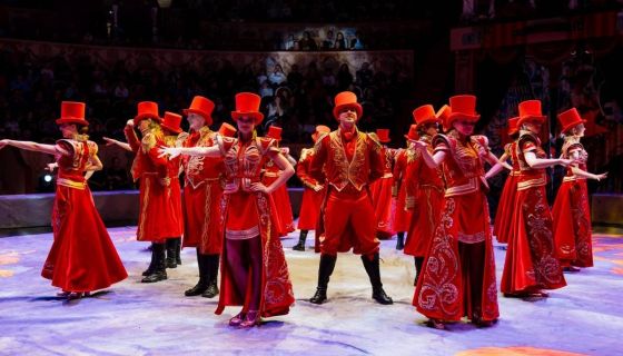 Итальянский цирк: слоны и тигры