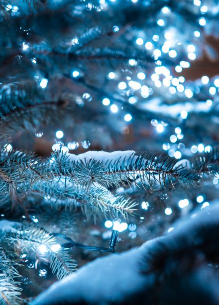 Сказки у камина