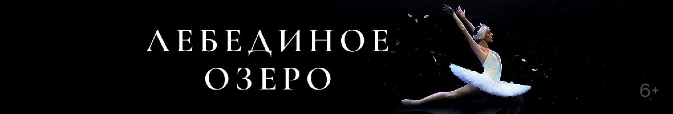 Самореклама Большая Сцена Лебединое Тула Баннер