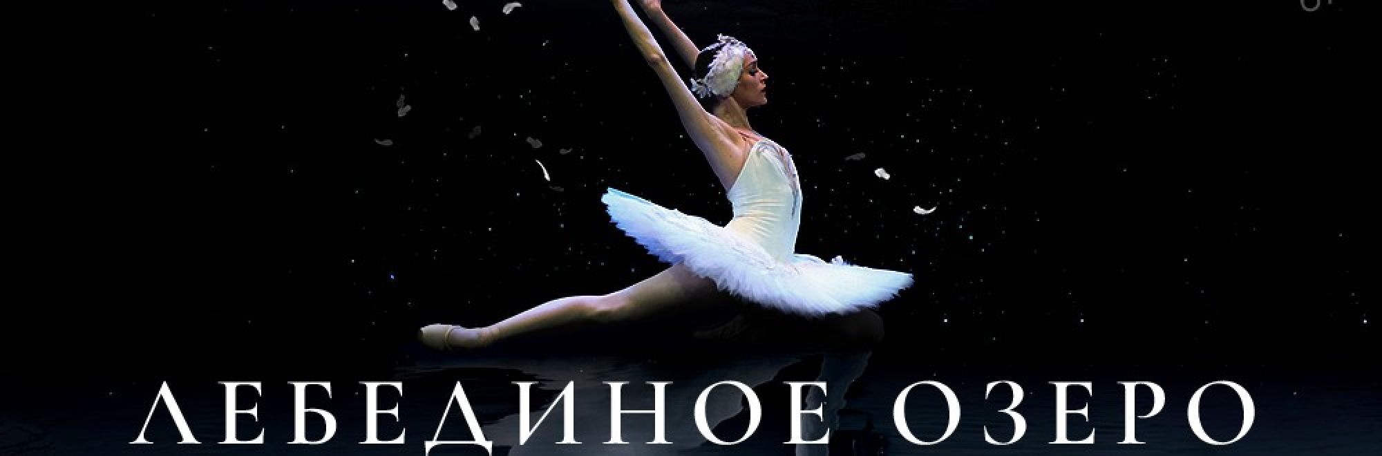 Самореклама Большая Сцена Лебединое Тула Баннер