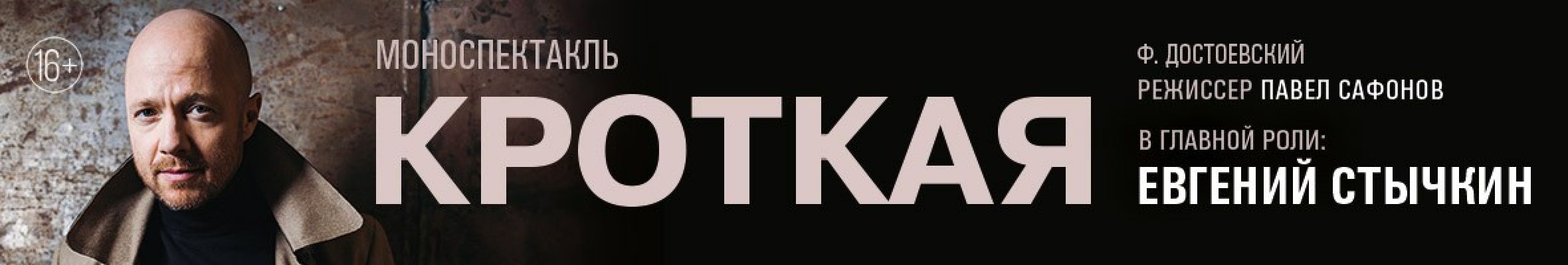 Самореклама Большая Сцена Кроткая Тула Баннер